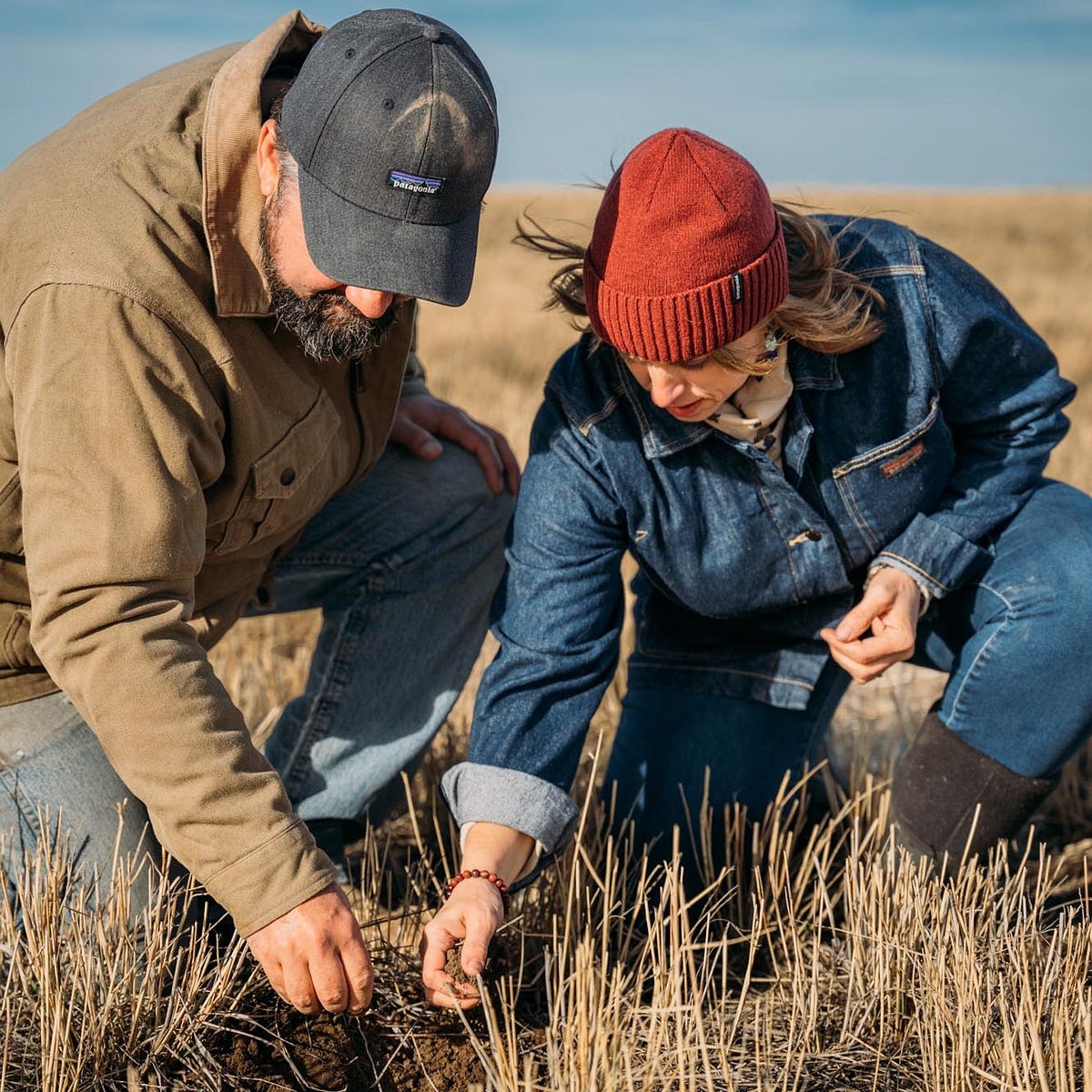 Credit facility accelerates growth of regenerative farming