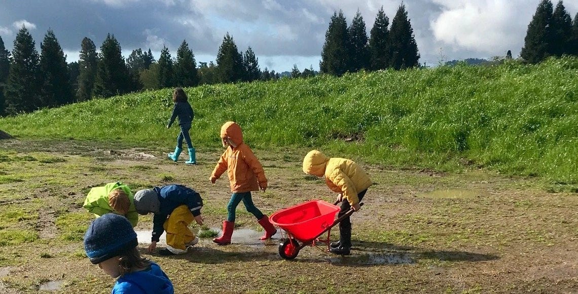 Pioneering public Waldorf School nurtures community connections | by Christine O’Connor | Reimagine Money | Jul, 2024