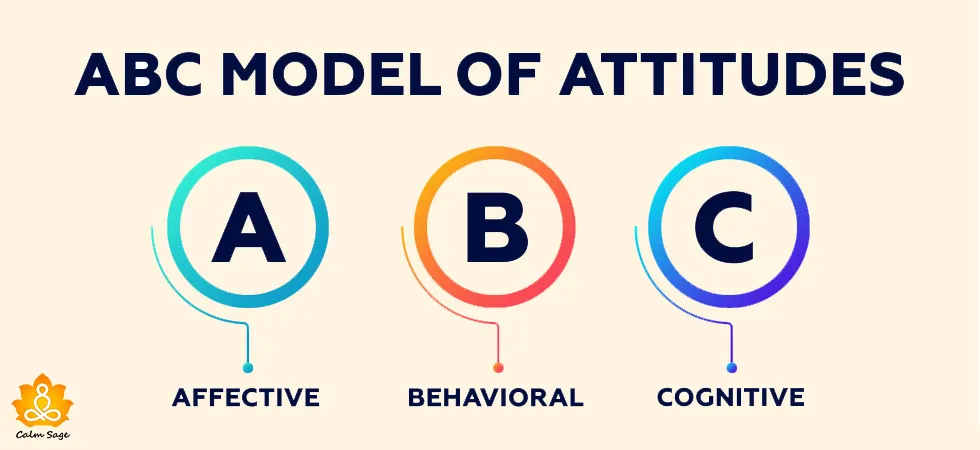 3 Components Of Attitude In Psychology