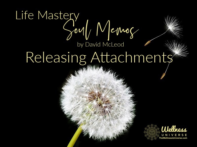 Life Mastery Soul Memos with David McLeod