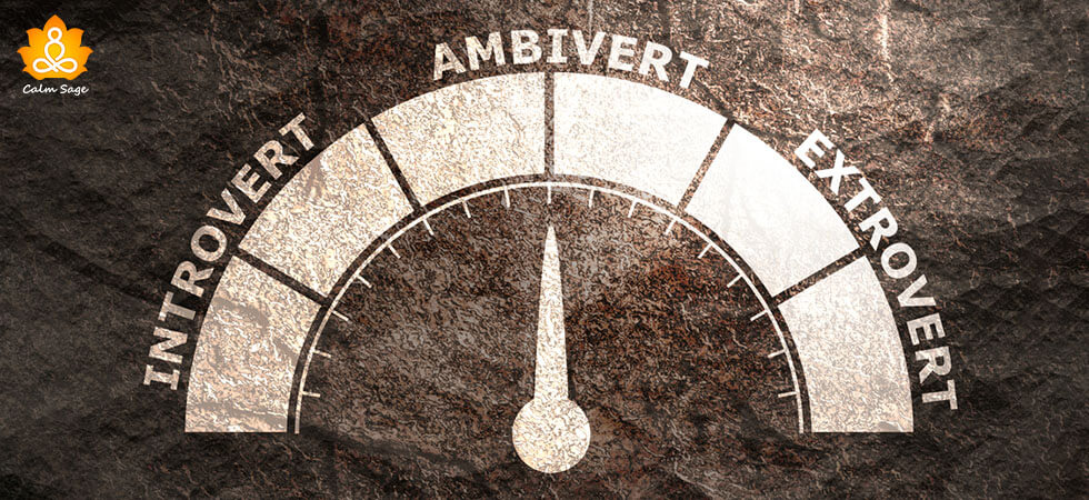 12 Signs You Are An Ambivert: Ambivert Personality Test