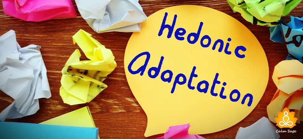 What-is-Hedonic-Adaptation-or-Hedonic-Treadmill