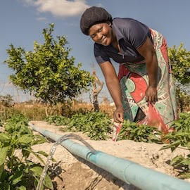 An Emerging Priority in Climate Resilience: How Zambia’s Green Growth Strategy — And its Business Sector — Are Addressing the Risk of Climate-Induced Social Instability