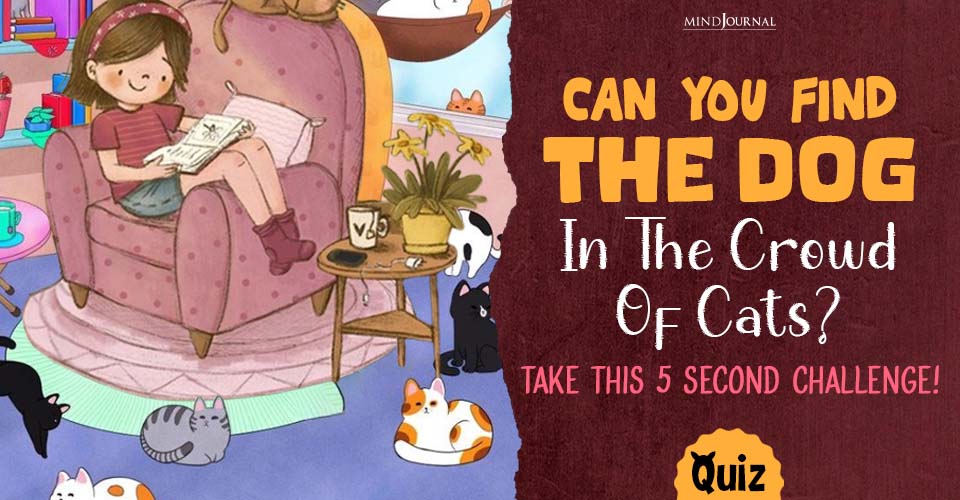 Can You Find The Dog In The Picture? 5 Second Fun Challenge!