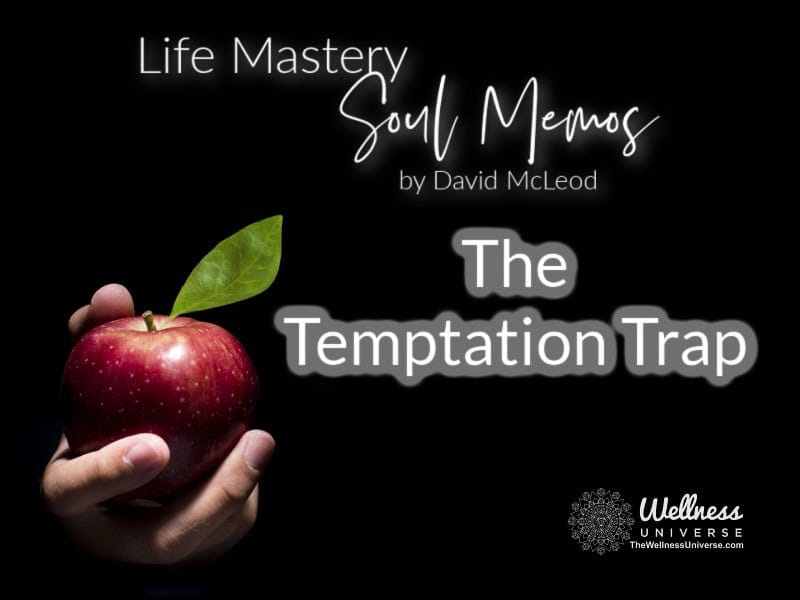 Life Mastery Soul Memos with David McLeod