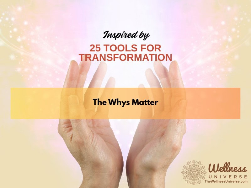 Inspired by 25 Tools for Transformation: The Whys Matter