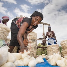 Bringing African Knowledge into the Probiotic Industry: The Untapped Goldmine in Nigeria’s Fermented Foods