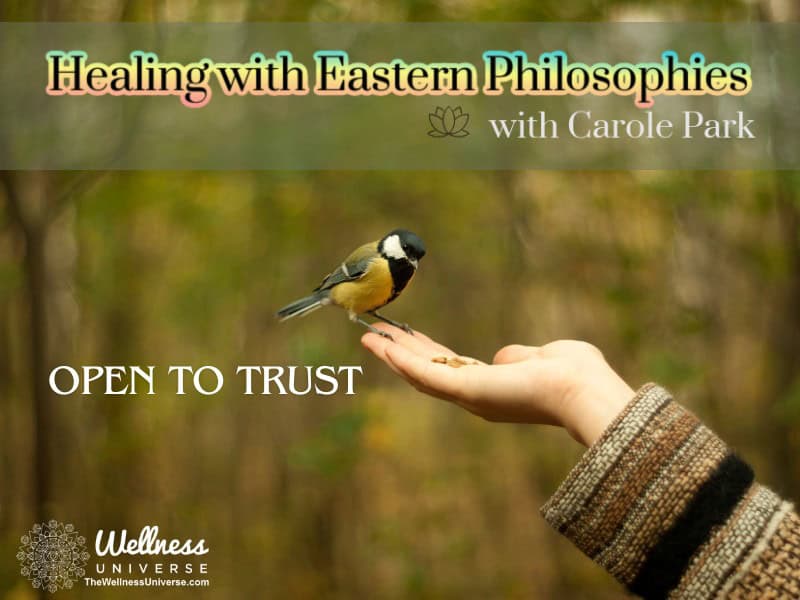 Trust in Ling Chi Healing