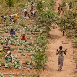 Women, Wealth and Climate Resilience: The Transformative Power of Asset Creation in Africa