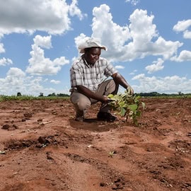 A Field-Based Perspective on Sub-Saharan Africa’s Agriculture Crisis: Exploring the Four Critical Dimensions that are Driving Food Insecurity