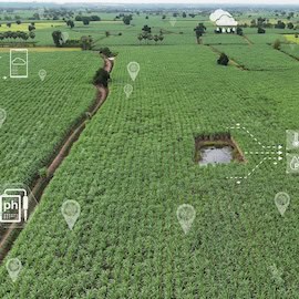 A New Green Revolution in Indian Agriculture: How Satellite Remote Sensing is Quietly Transforming the Sector