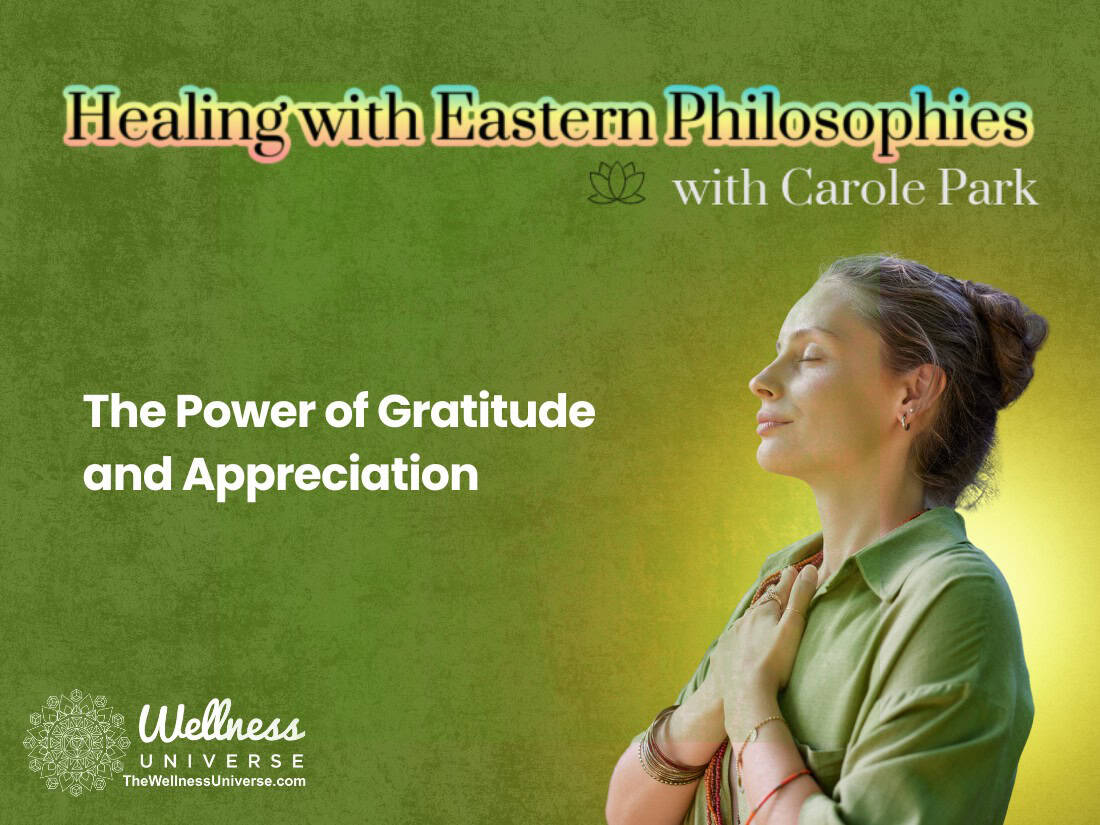 The Power of Gratitude and Appreciation