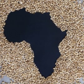 Africa Needs Jobs — the Agri-Food Industry Can Provide Them: How the Sector Can Boost its Impact on Employment Across the Continent