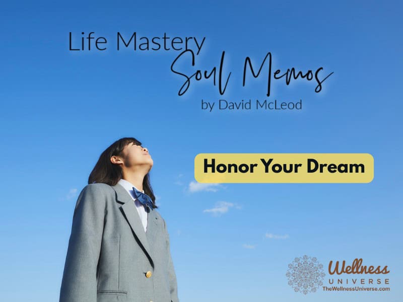 Life Mastery Soul Memos with David McLeod | Honor Your Dream