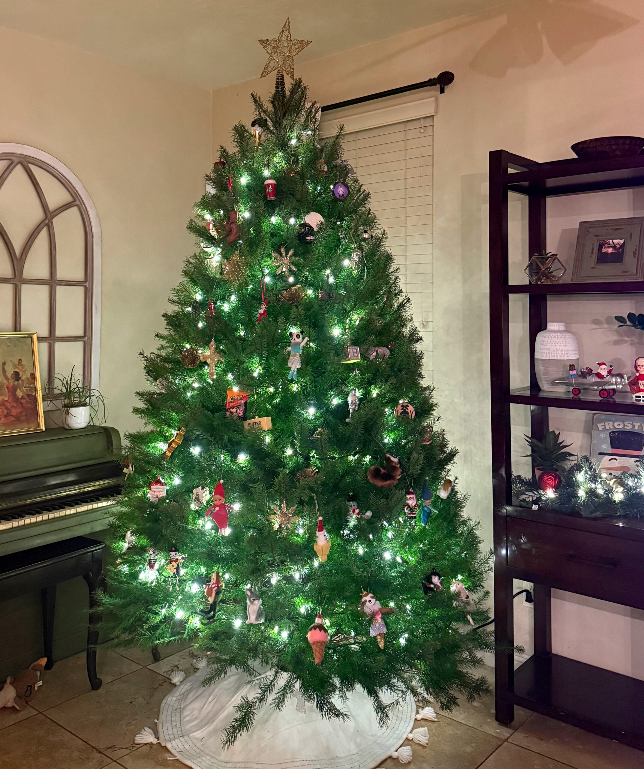 12.6 Friday Faves – The Fitnessista