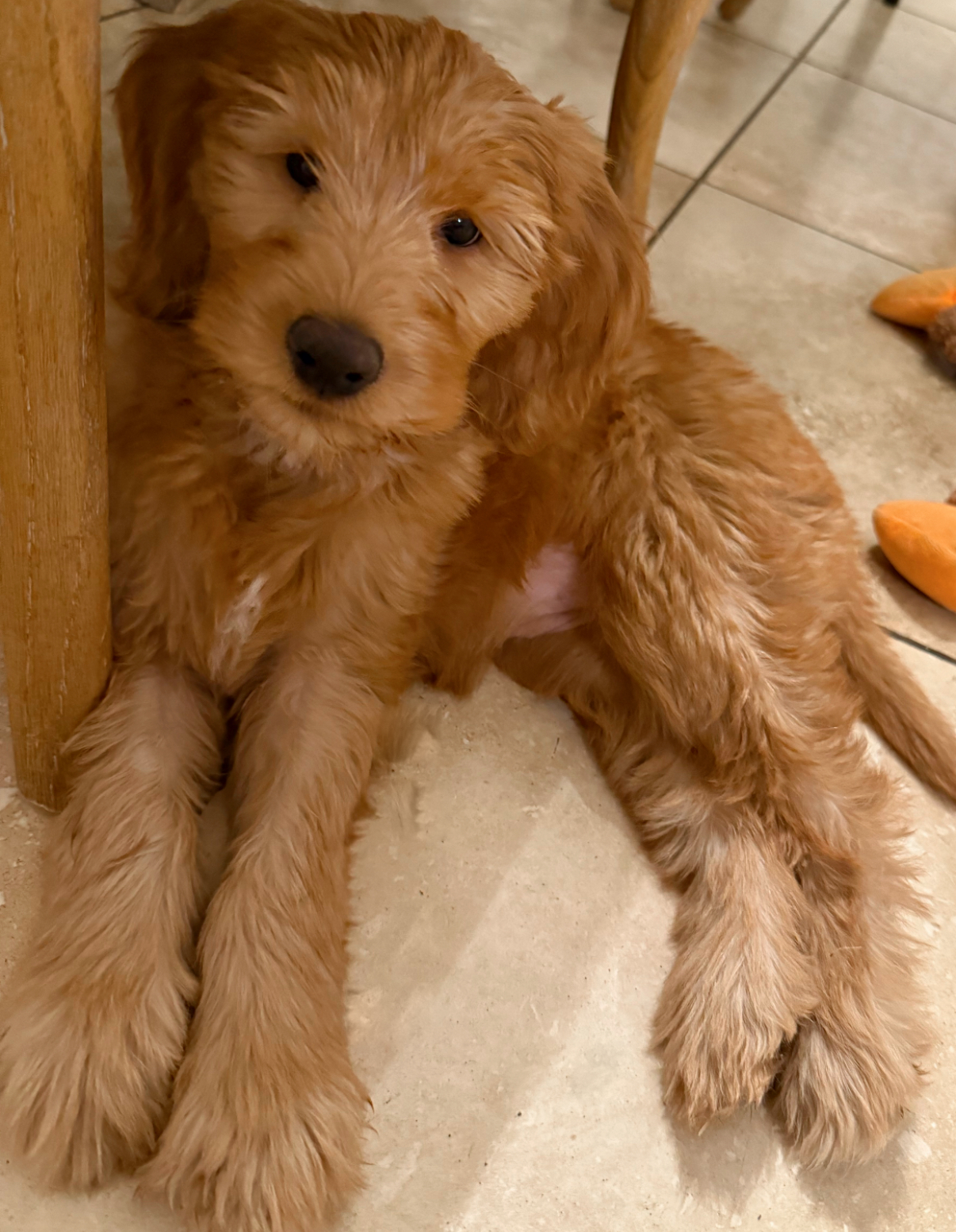 1.9 Friday Faves – The Fitnessista