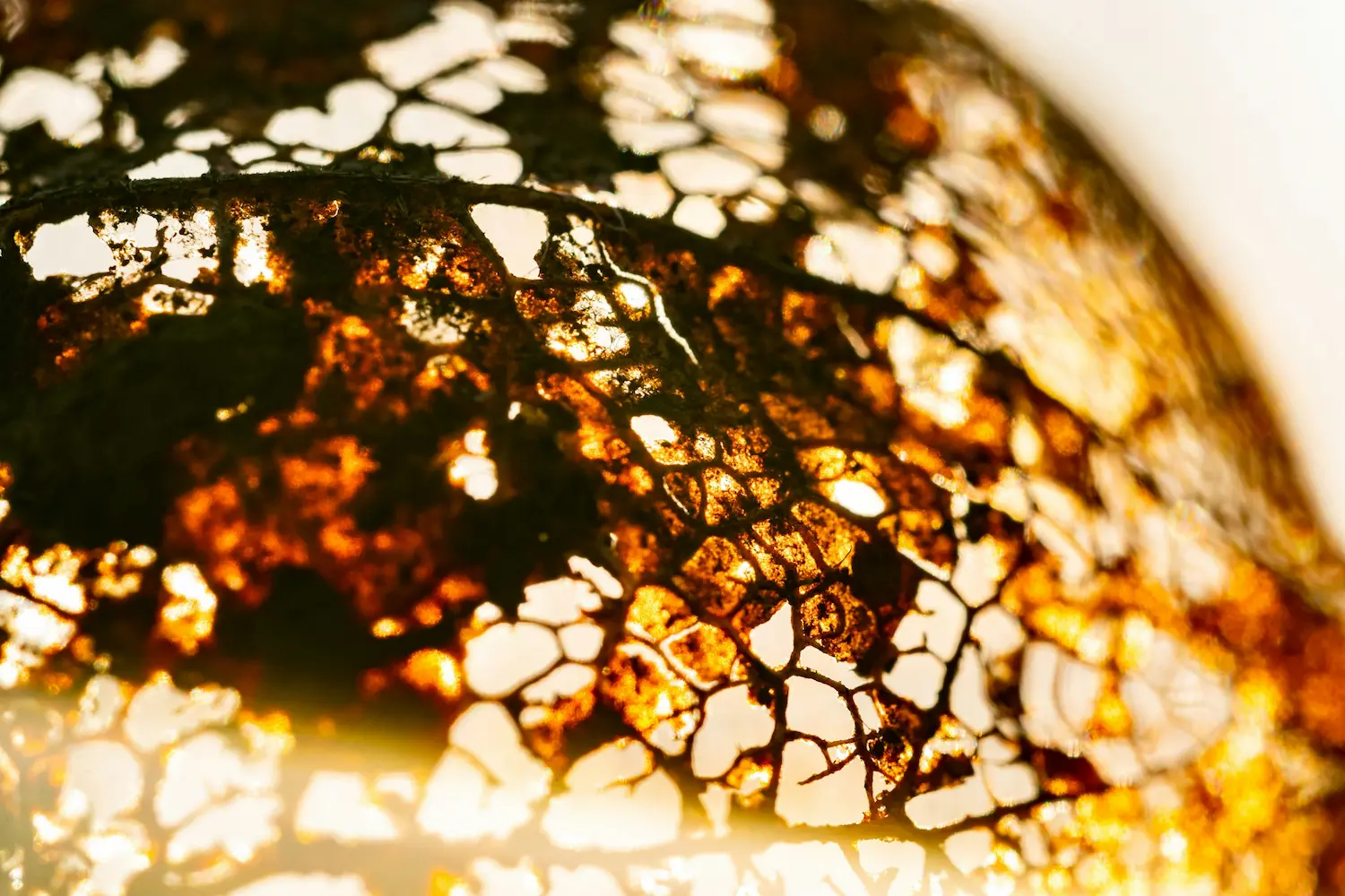 Join me in “As the World Falls Apart”