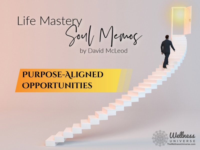 Life Mastery Soul Memos with David McLeod | Purpose-Aligned Opportunities
