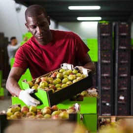 Rethinking What it Means to Start a Business: Why Systemic Venture Building Matters for Africa’s Food Future