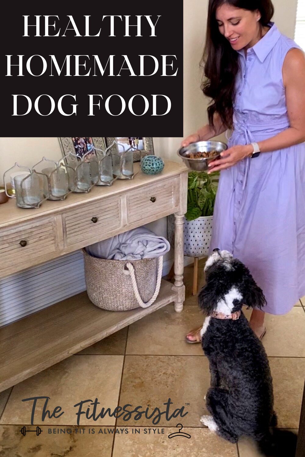 Healthy homemade dog food Healthy homemade dog food recipe