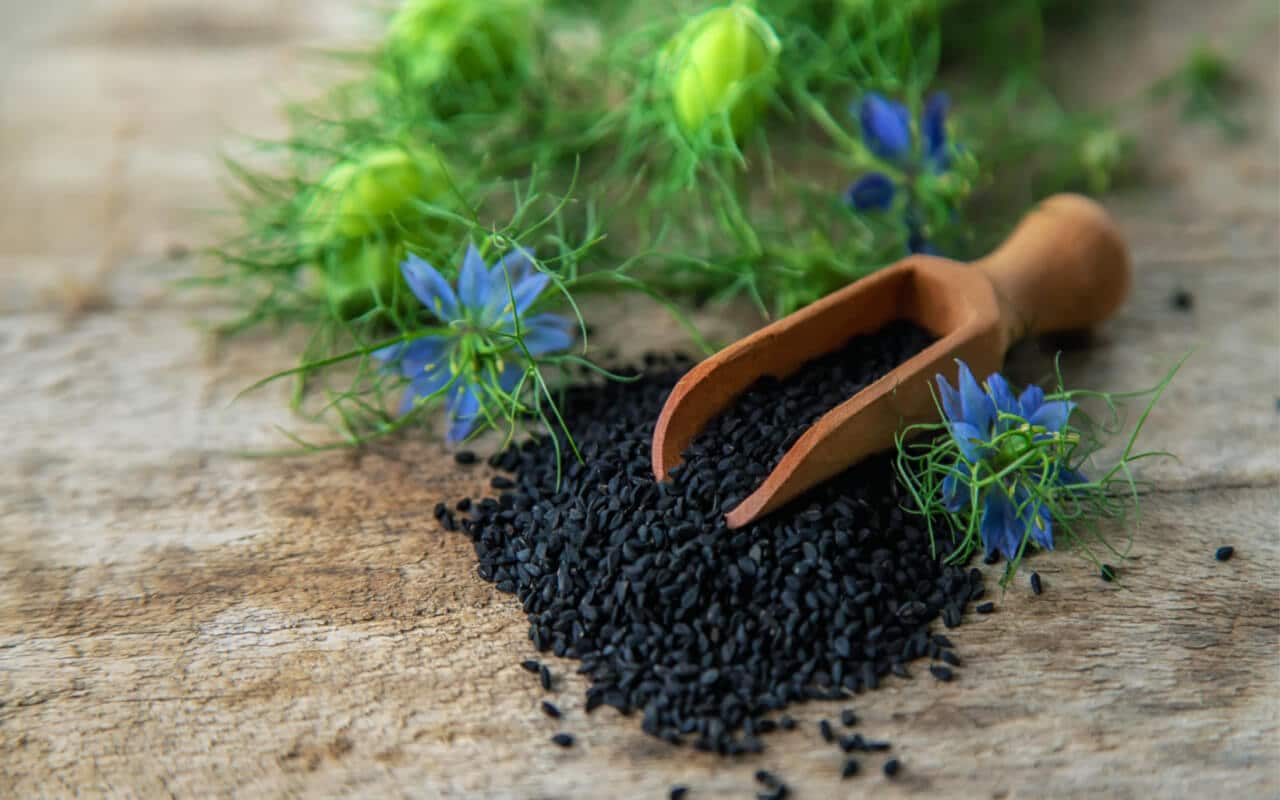 Kalonji Seeds – Benefits, Nutrition, & Recipes