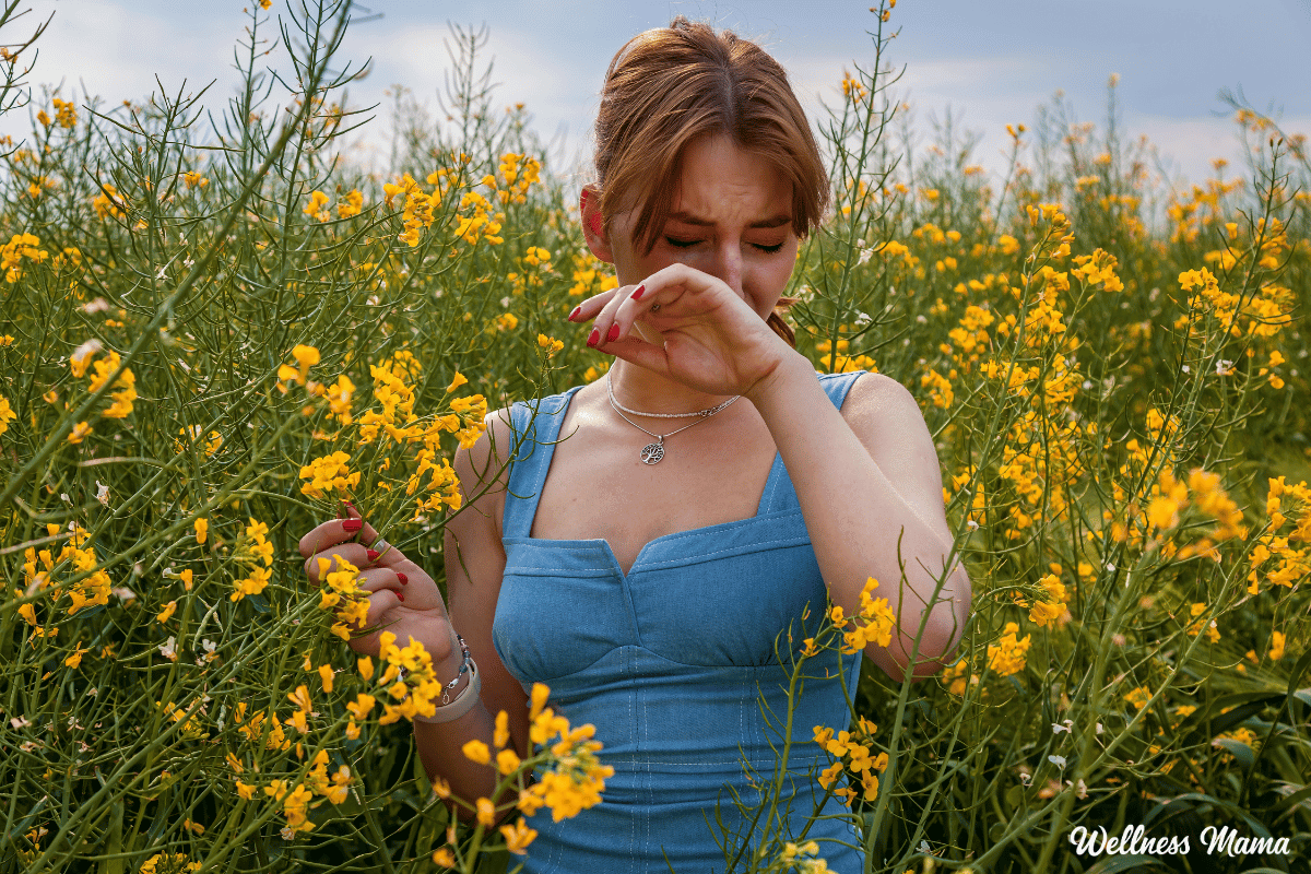 Powerful Natural Remedies for Seasonal Allergies