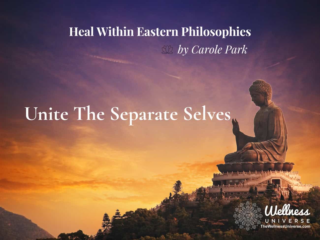 Unite The Separate Selves – The Wellness Universe Blog