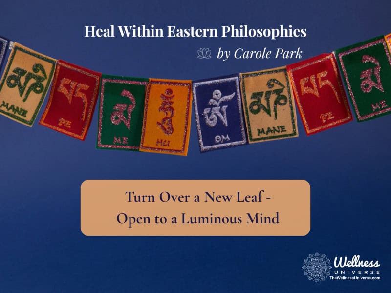 Turn Over a New Leaf – Open to a Luminous Mind
