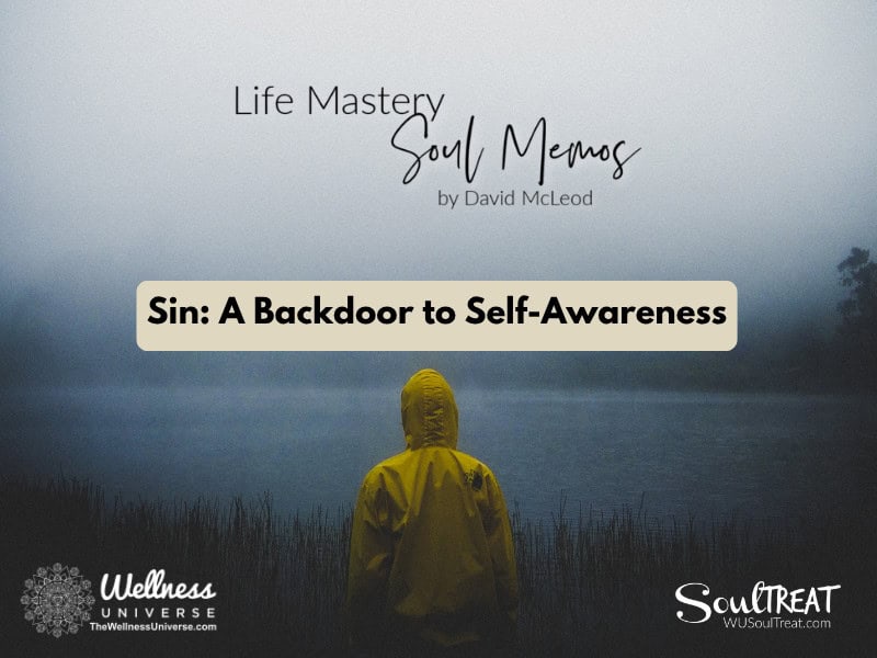 Sin: A Backdoor to Self-Awareness | Life Mastery Soul Memos with David McLeod