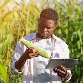 The Flawed Assumptions Behind AI for Agriculture: What Artificial Intelligence Can — And Can’t — Do for African Farmers