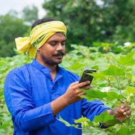 The Three Ingredients of Impact AI: Research from India Offers Guidance for AI for Social Good in Emerging Markets