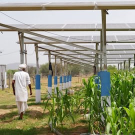 Can India Transition to Solar Without Leaving Farmers Behind? Lessons from Rajasthan’s First Farmer-Owned Agri-PV Pilot